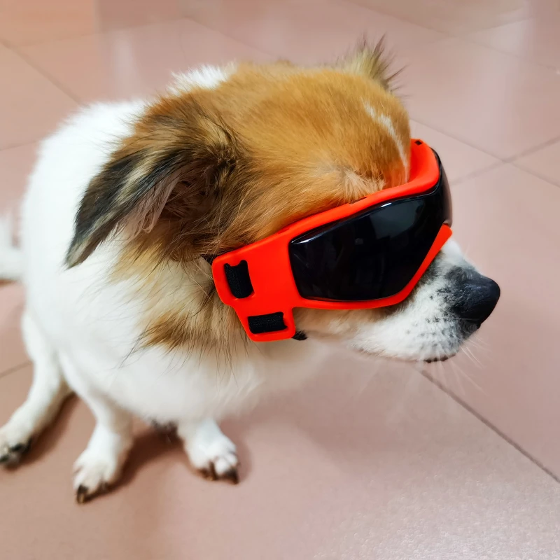 Dog Goggles Small Breed,Easy Wear Small Dog Sunglasses,Adjustable UV Protection Puppy Sunglasses Supplies for Small Medium Dog - Image 2