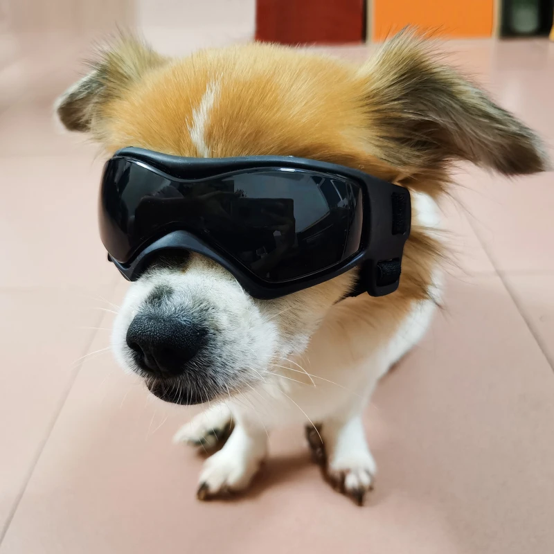 Dog Goggles Small Breed,Easy Wear Small Dog Sunglasses,Adjustable UV Protection Puppy Sunglasses Supplies for Small Medium Dog - Image 3