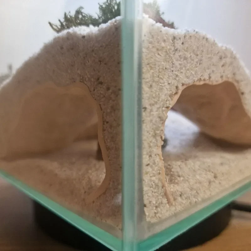 Fish Tank Underground Cave for Fish Shrimp Reptile Shelter Hiding Houses, Landscaping Ornaments 3D Printing Aqaurium Decorations - Image 2