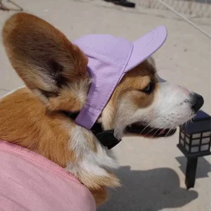 Korean Style Pet Baseball Cap Solid Color Dog Accessories Pet Couple Hat Adjustable Sun Protection Peaked Hat for Teddy Corgi