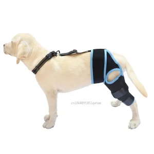 Dog Leg Support Brace Knee Hip Joint Protect Wounds Prevent Injuries Canine Aid Ligament Rehabilitation Dog Traction Assistance